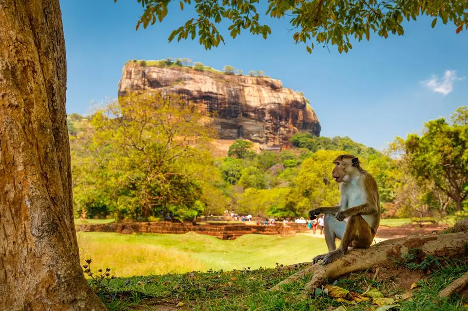 19-daagse rondreis Parels van Sri Lanka